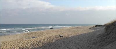 Coast Guard Beach