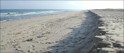 Coast Guard Beach