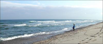 Coast Guard Beach