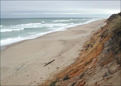 Beach near Nauset Light