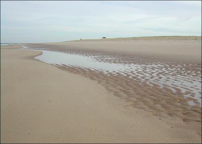 Race Point Beach, Provincetown