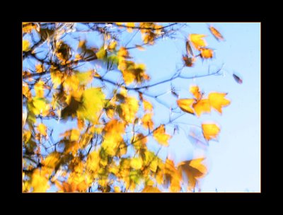 09-Nov-07