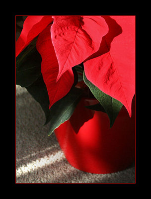 01-Dec-07