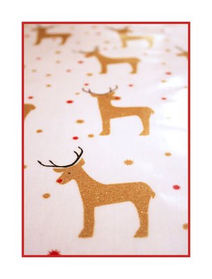 05-Dec-07
