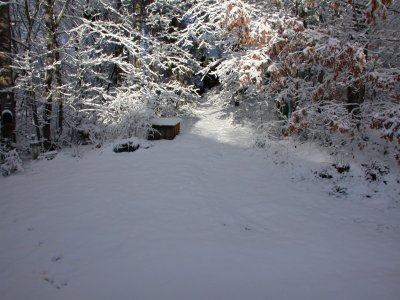 Snow2009-10.JPG