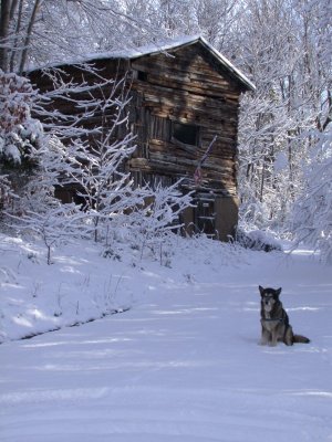 Snow2009-12.JPG