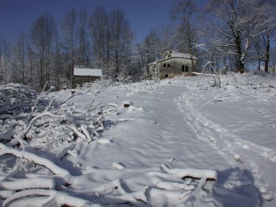 Snow2009-29.JPG