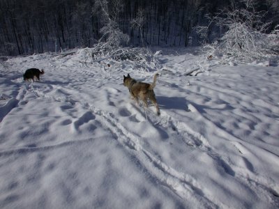 Snow2009-31.JPG