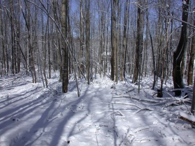 Snow2009-56.JPG