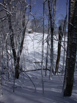 Snow2009-57.JPG
