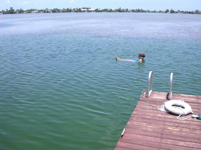 Blue Water Key RV Resort