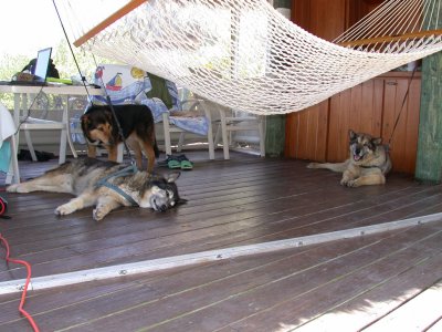 Our Babies