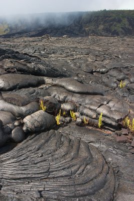 Lava Field, Big Island