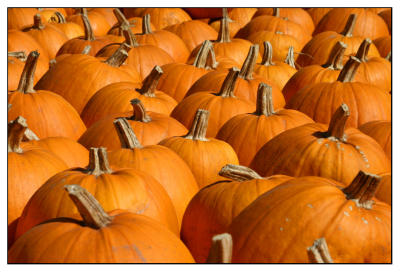 Pumpkin Pie?