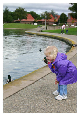 Talking to the ducks