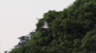 g3/37/349837/3/125253799.7PKdDG9u.jpg