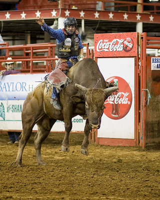 Rodeo