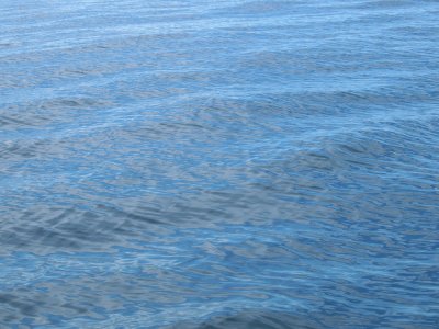 PC276388_lr.jpg