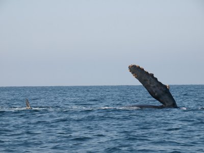 PC316579_lr.jpg