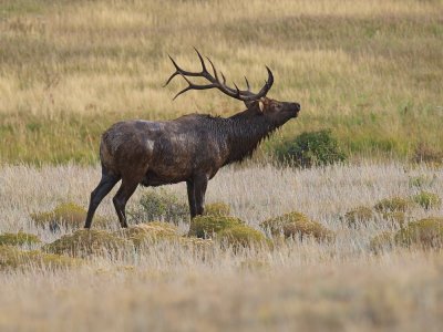 Rocky Mountain National Park