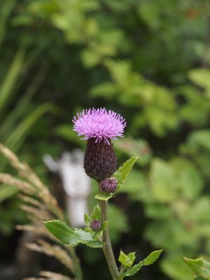 P9157081_lr.jpg