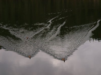 P9157096_lr.jpg