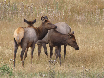 P9167230_lr.jpg