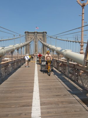P6083751_lr.jpg