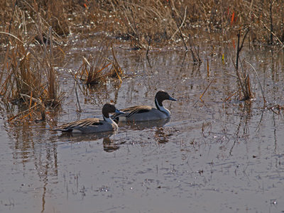 P2157756_lr.jpg