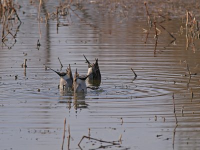 P2157776_lr.jpg