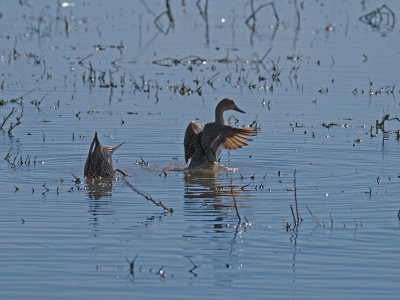 P2157784_lr.jpg