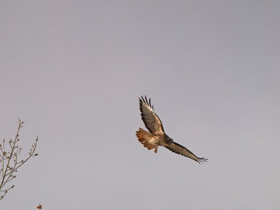 P2157848_lr.jpg
