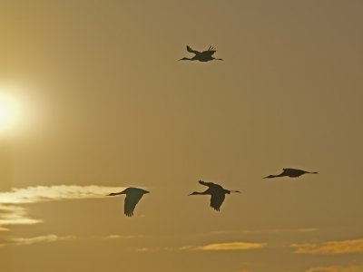 P2167973_lr.jpg