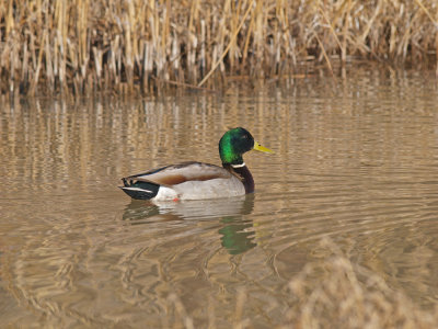 P2168190_lr.jpg