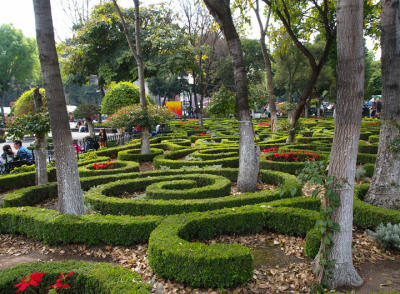Mexico City neighborhoods