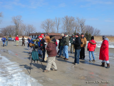 Birding on Ice - 19-21 Feb 2010