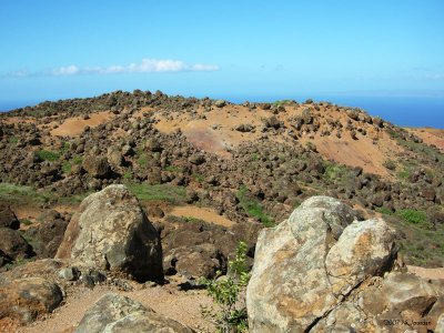 Lanai2412b.jpg