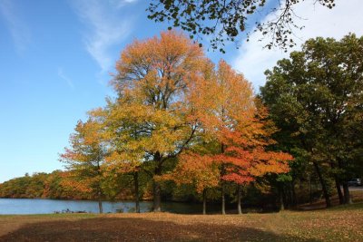 Fall 2007 in Roger Williams Park