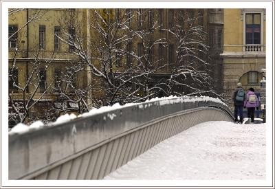 IMG01086.jpg