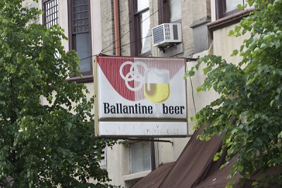 IMG_9381.jpg