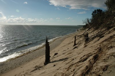 DSC_0030.JPG