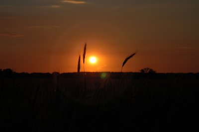 DSC_0951.JPG