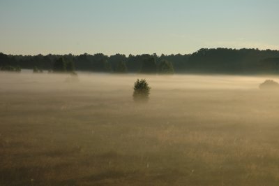 DSC_1114.JPG