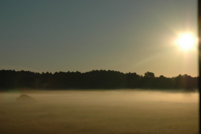 DSC_1118.JPG