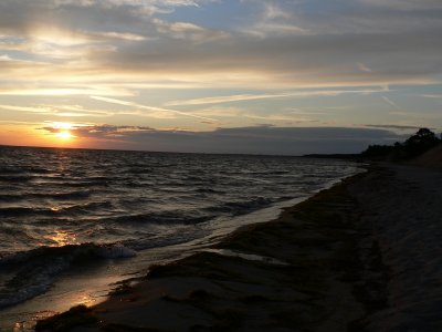 P1160587.JPG
