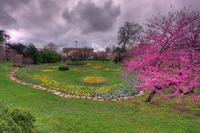 Spring in the park