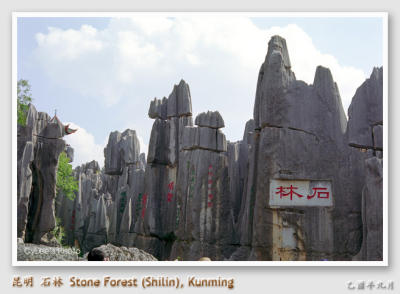 cnyn_N1136W003.jpg