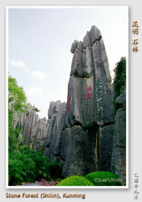 cnyn_N1207W003.jpg