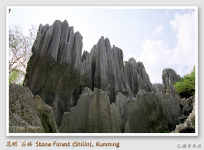 cnyn_N1212W003.jpg