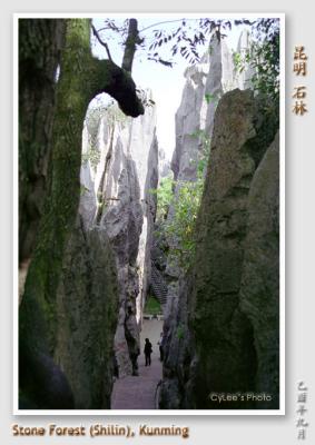 cnyn_N1225W003.jpg